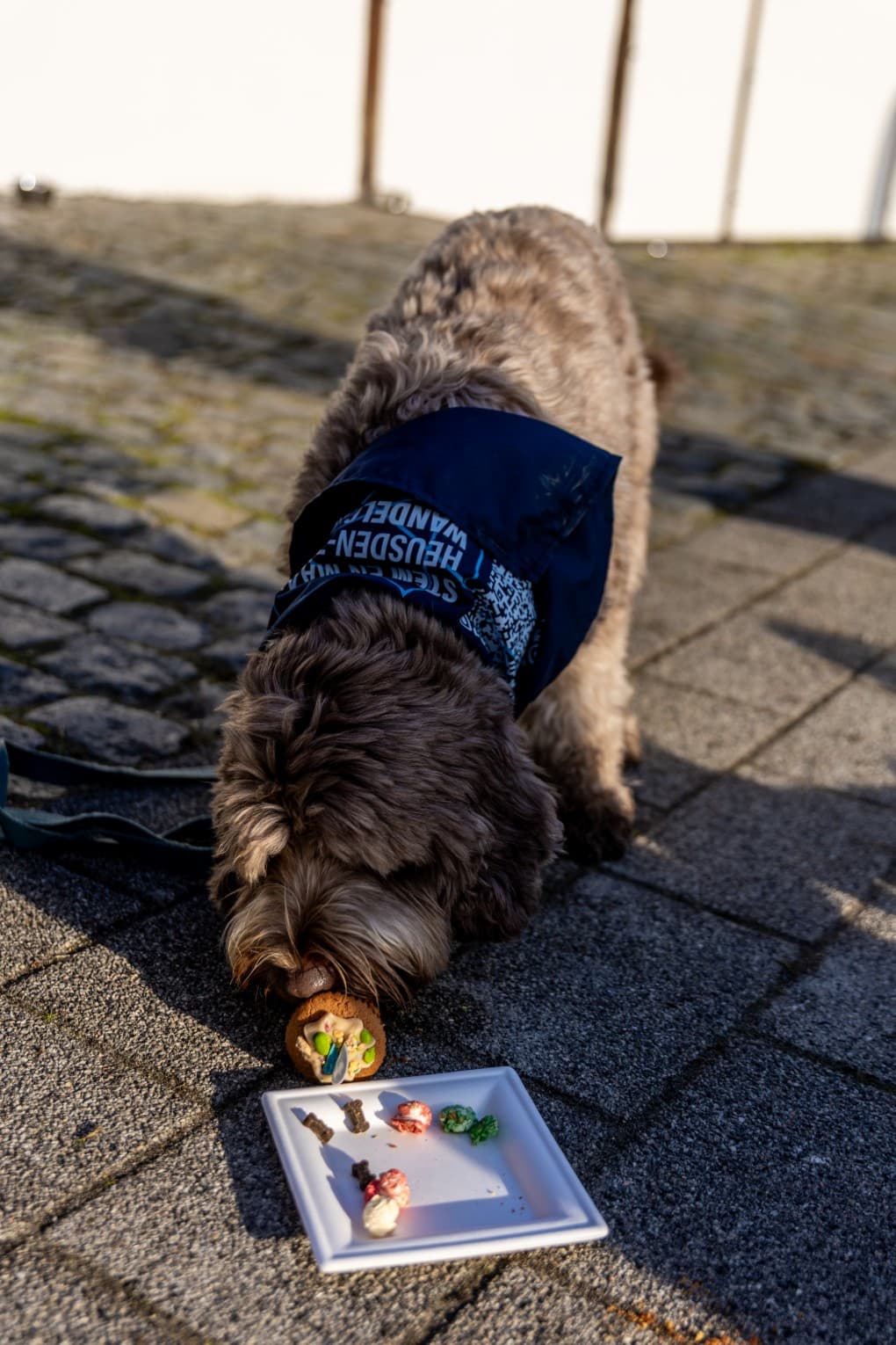 Card Cover Placeholder