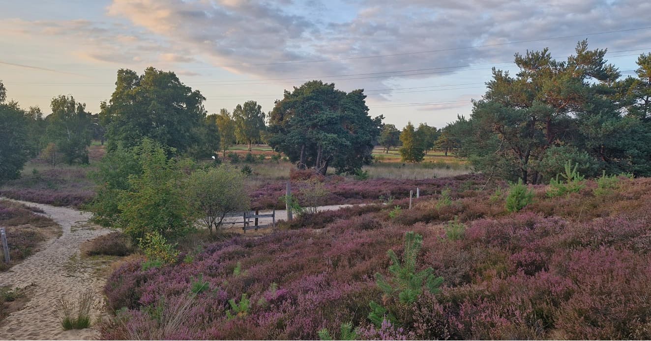 Card Cover Placeholder